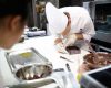 Học bổng khóa cử nhân ẩm thực của Học viện Le Cordon Bleu New Zealand
